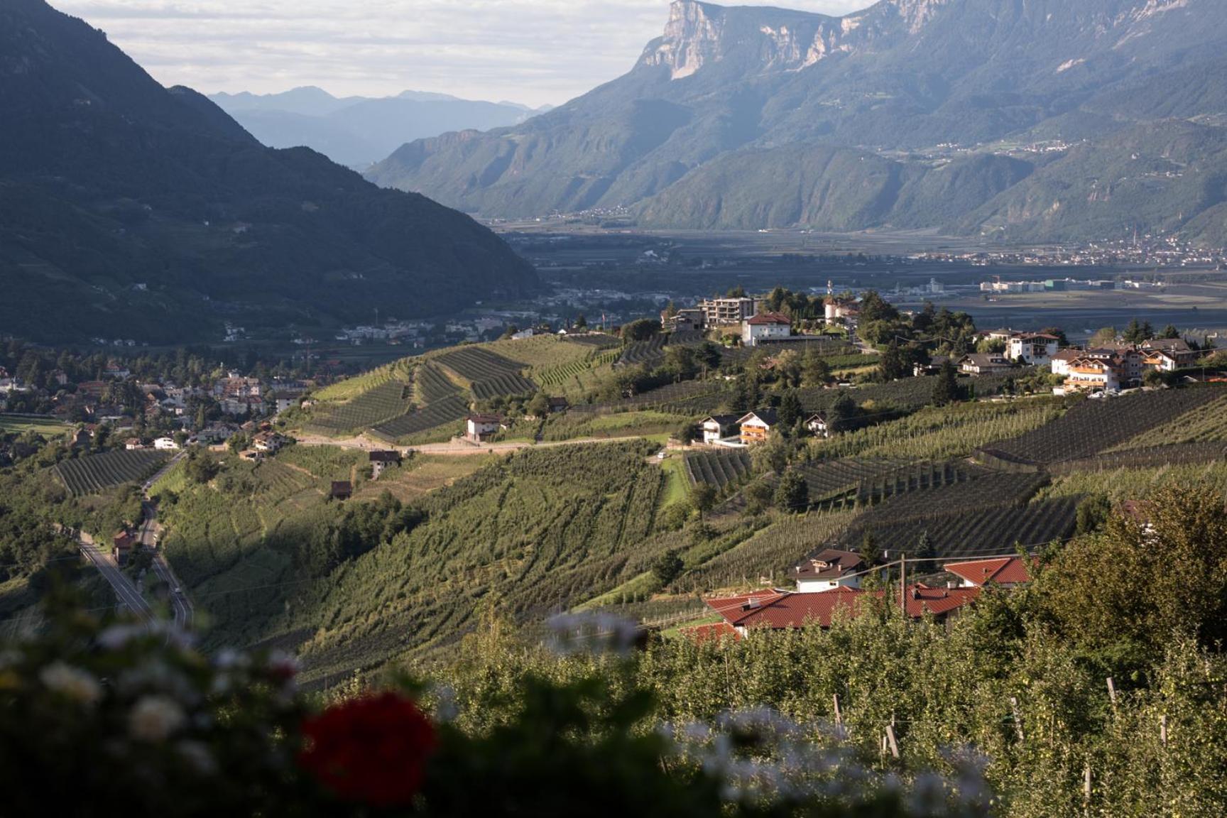 Linghof Bed & Breakfast Tirolo Dış mekan fotoğraf